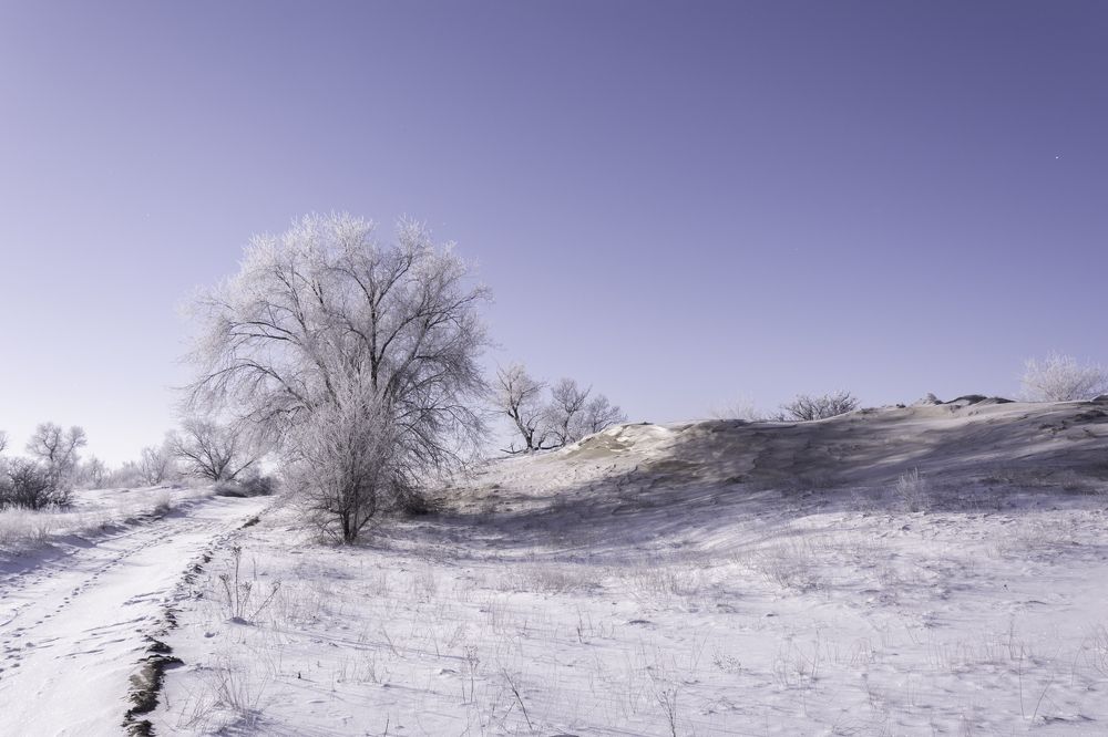 Photograph by Ольга Салтыкова