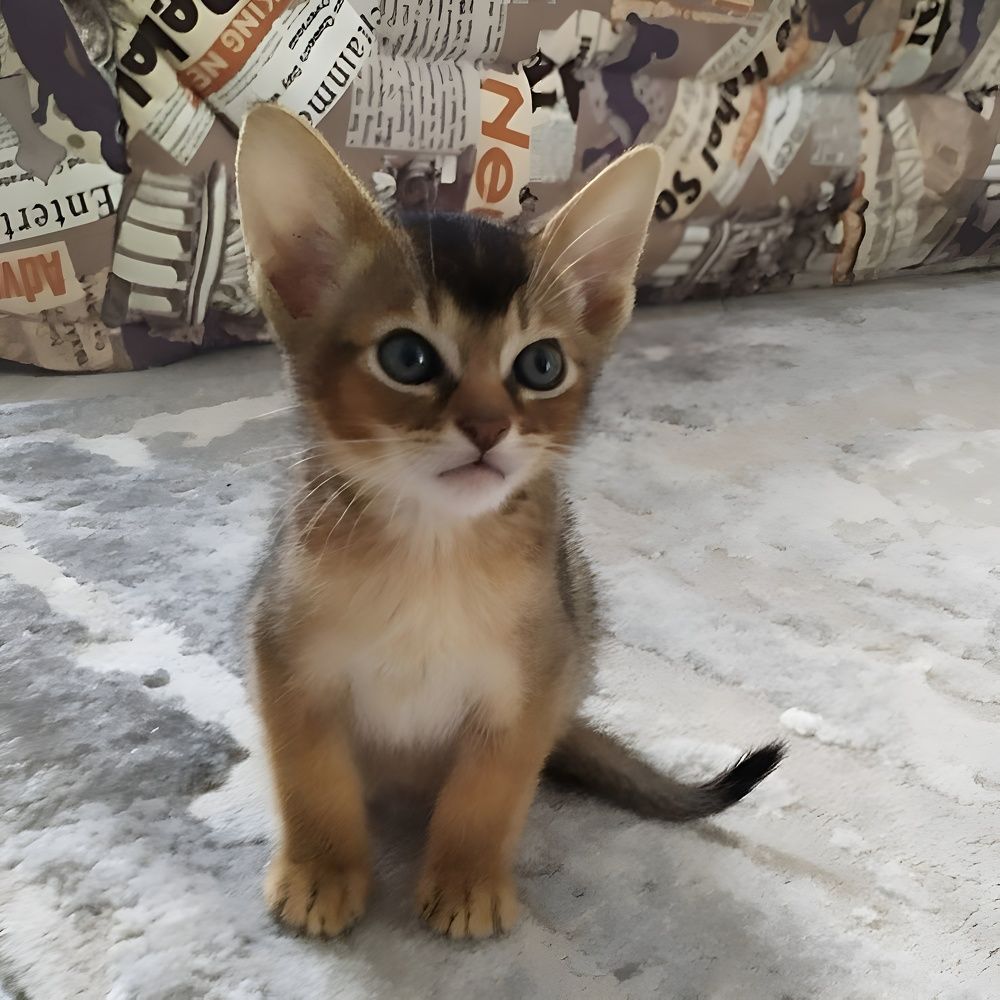 Photograph by Елена Сухорученкова