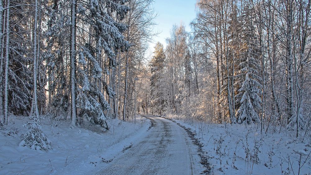 Пешком зимней дорогой