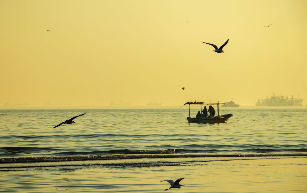 Photograph by Hossein shamsi