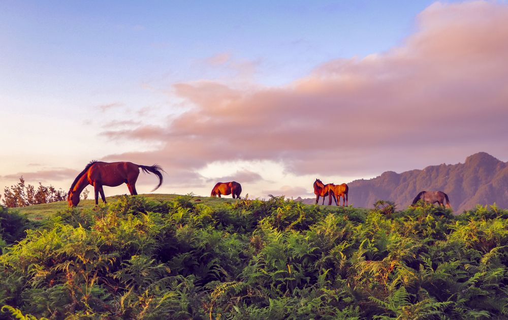 Photograph by Hossein shamsi
