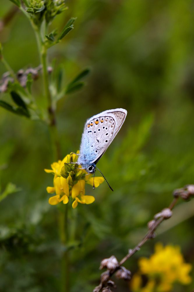 Photograph by Марина