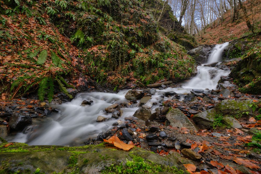 Photograph by Василий Арлашов