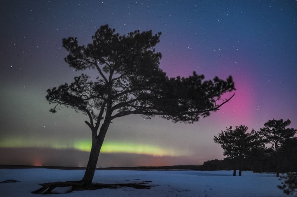 Photograph by Алексей