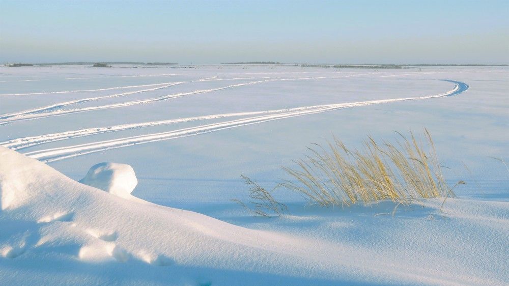 Photograph by НАТАЛЬЯ РОДИНА