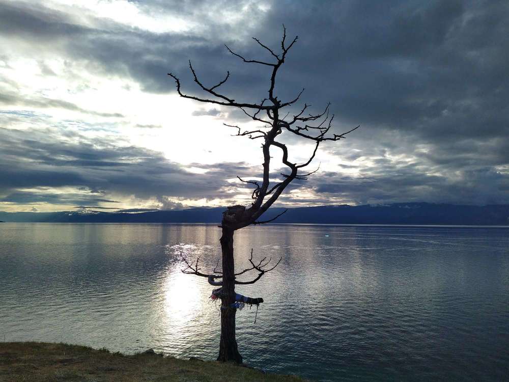 Photograph by ЗОЯ МЕДВЕДЕВА