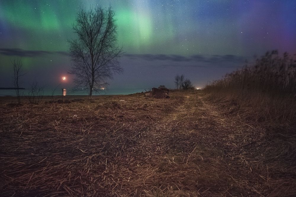 Photograph by Алексей