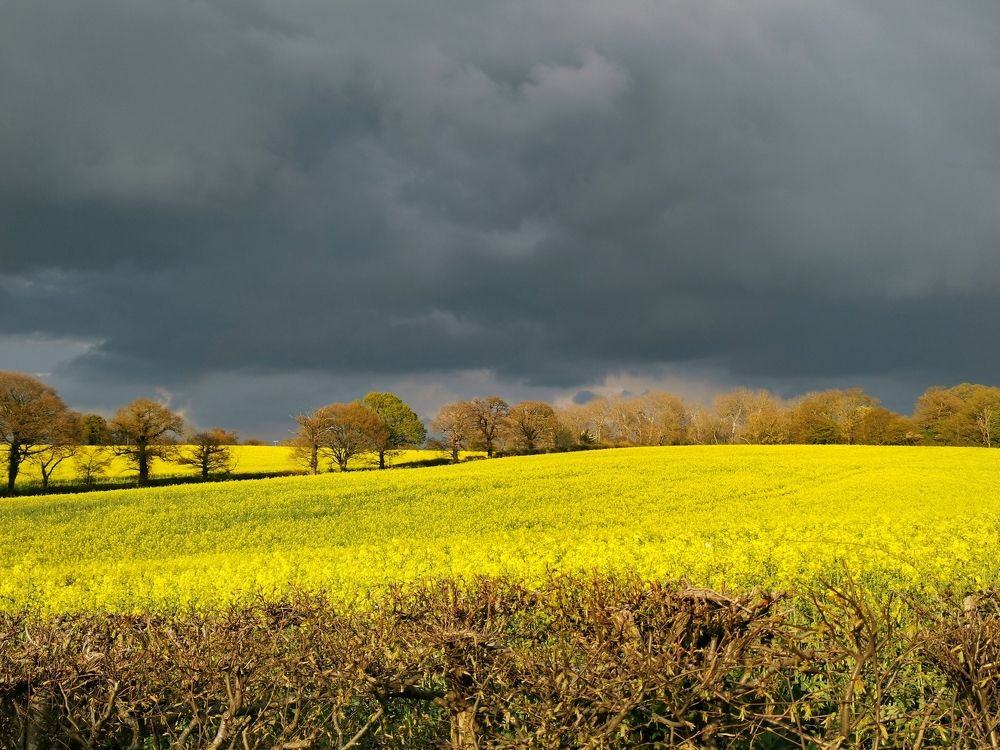 Photograph by Ингрида Кузнецова