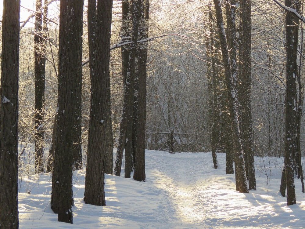 Photograph by НАТАЛЬЯ РОДИНА