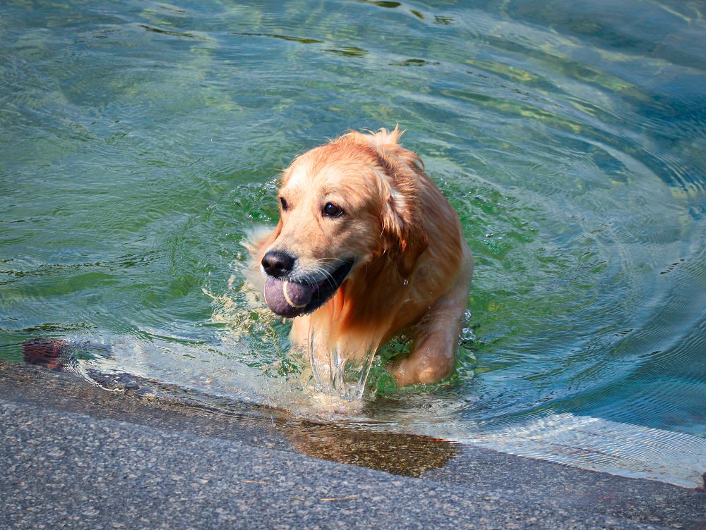 Photograph by Inna Ivanova