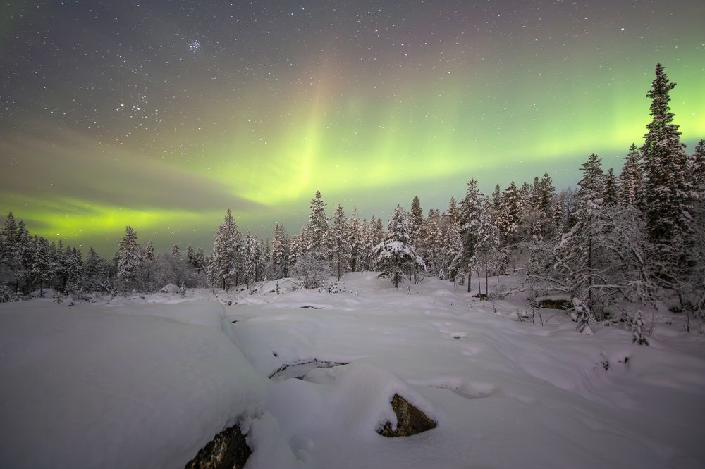 Photograph by Парамонов Григорий