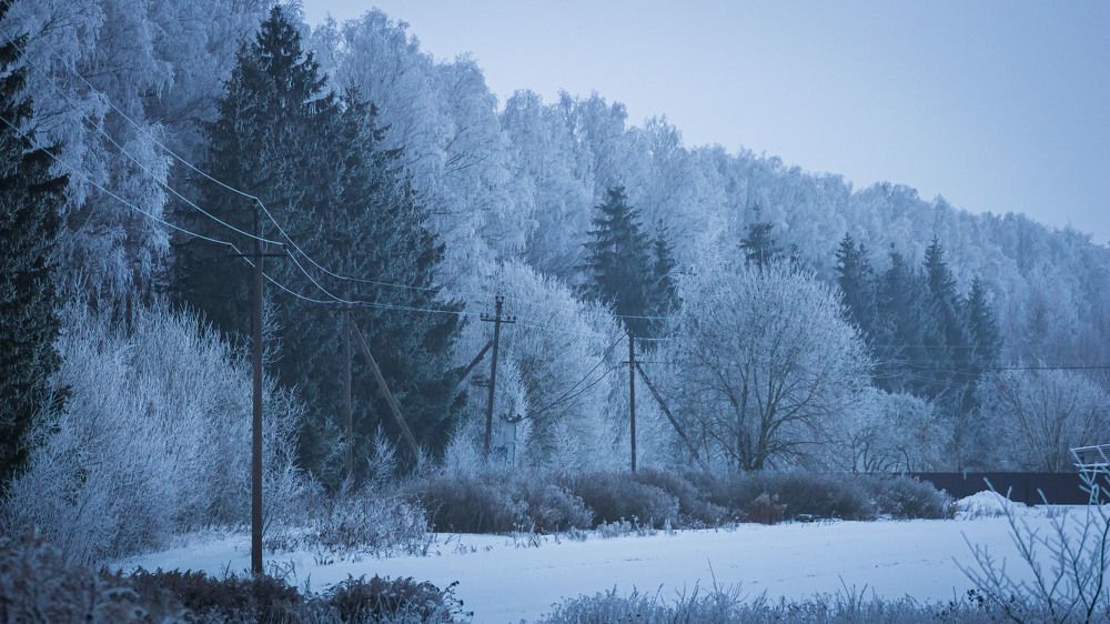 Фотография автора Максим Южик