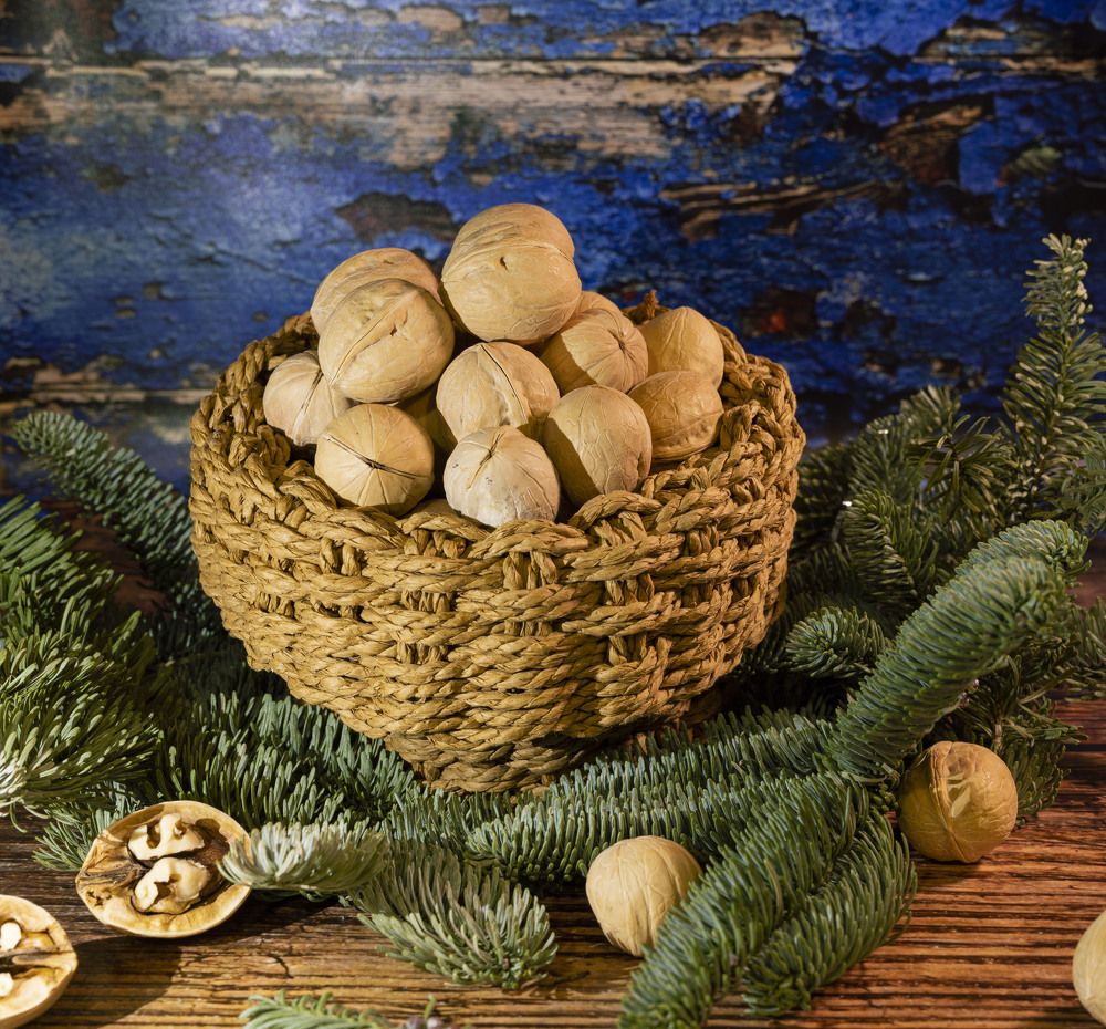 Photograph by Ольга Чибисова