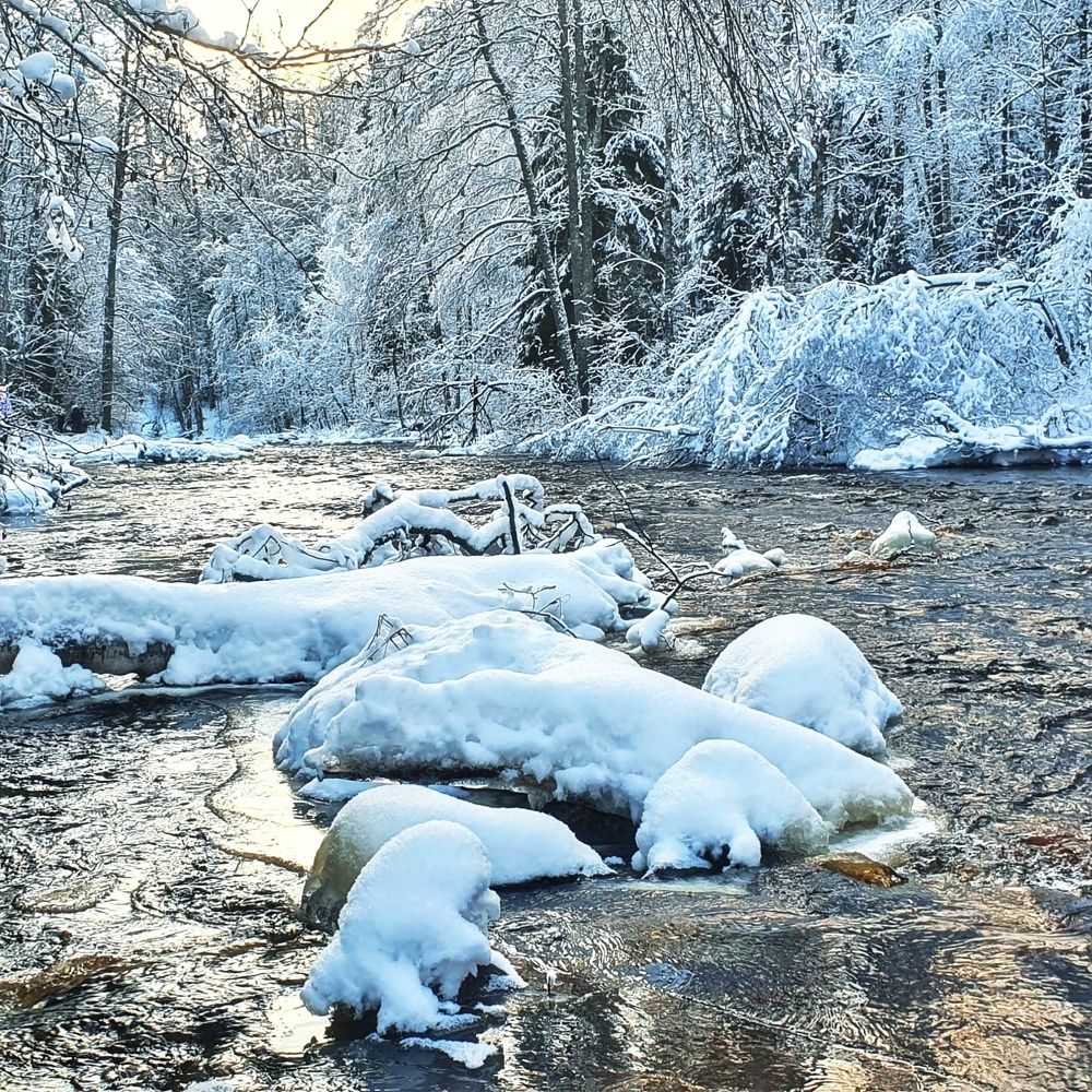 Photograph by Максим Кольцов