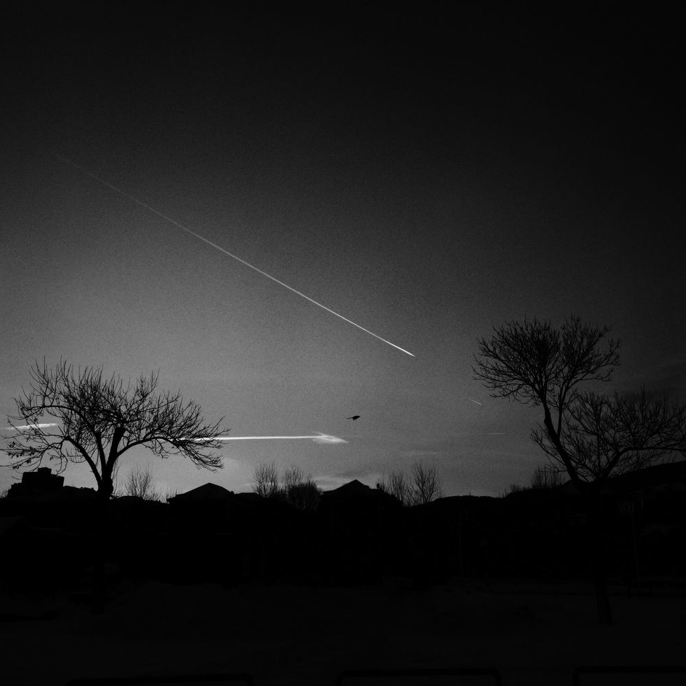 Photograph by Milena Konstantinova