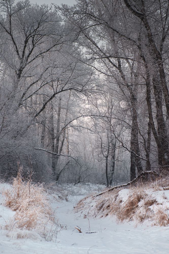 Фотография автора Julia Gorbacheva