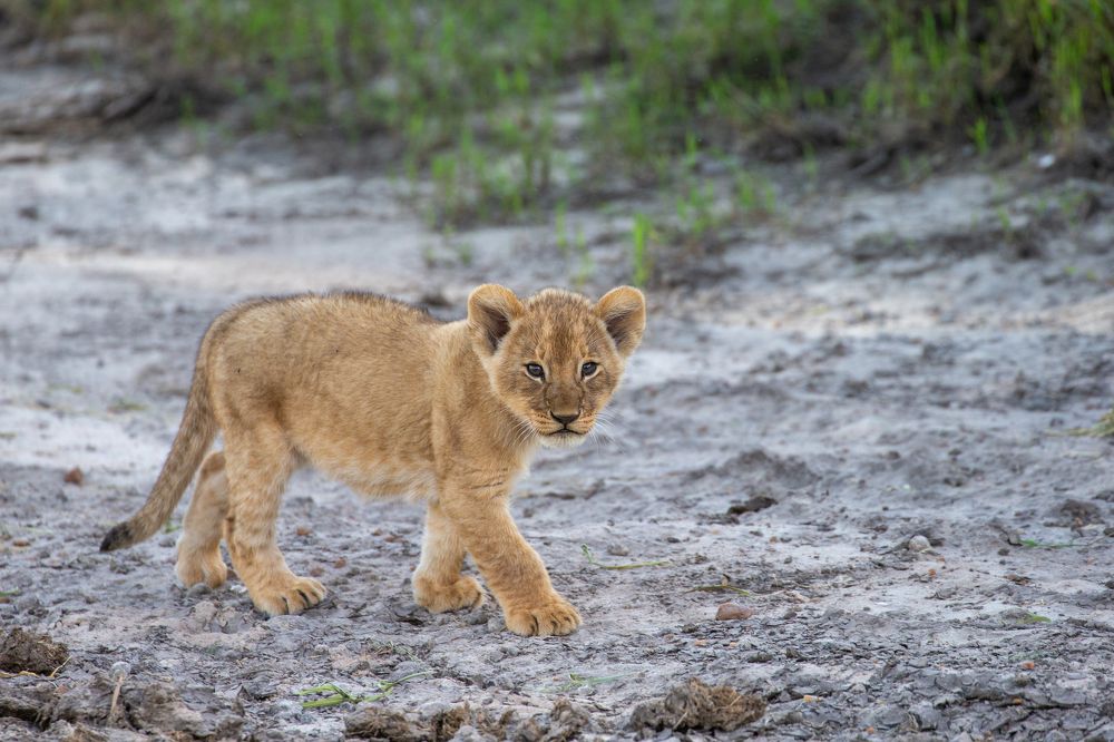 Photograph by Alexander Matrosov