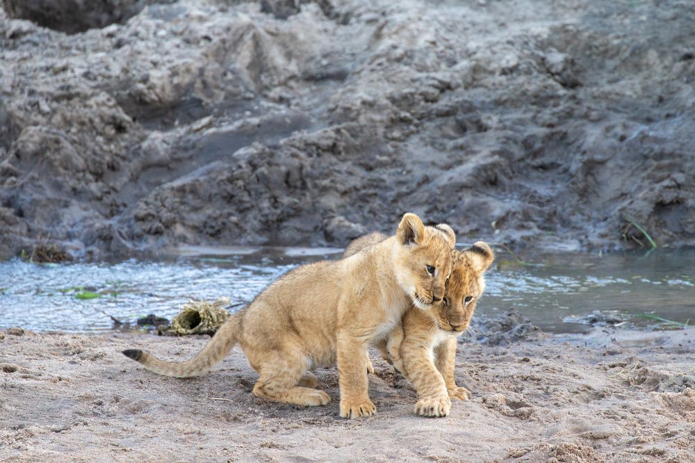 Photograph by Alexander Matrosov
