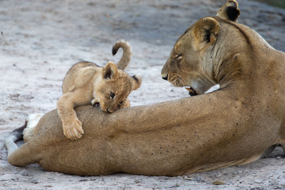 Photograph by Alexander Matrosov