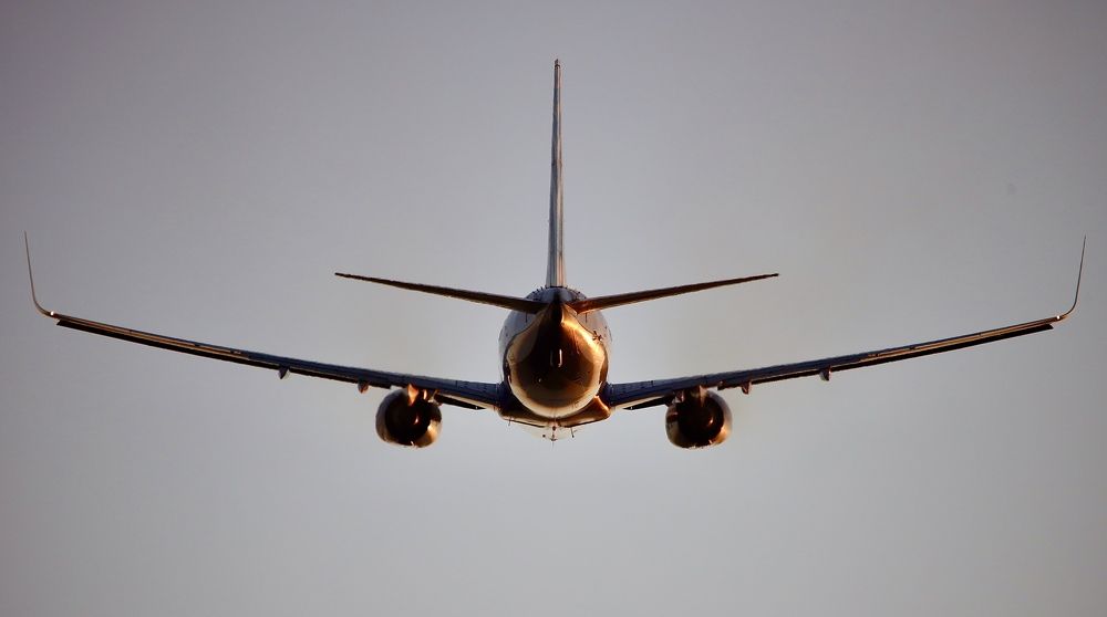 Photograph by Игорь Рязанов