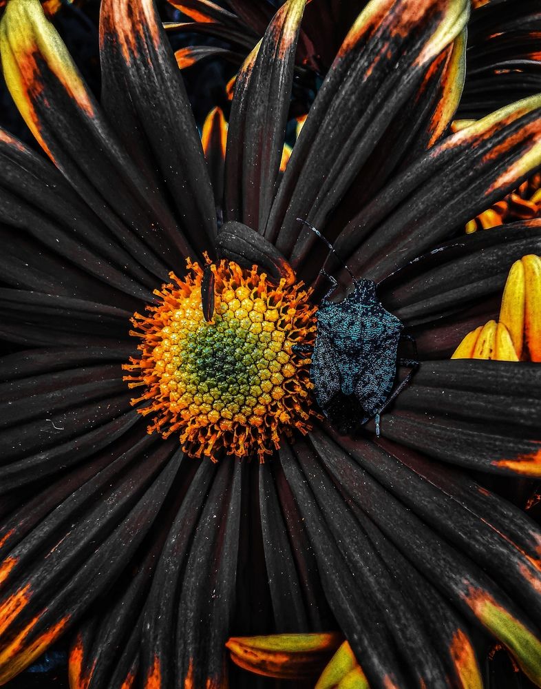 Photograph by Мария Цепилова