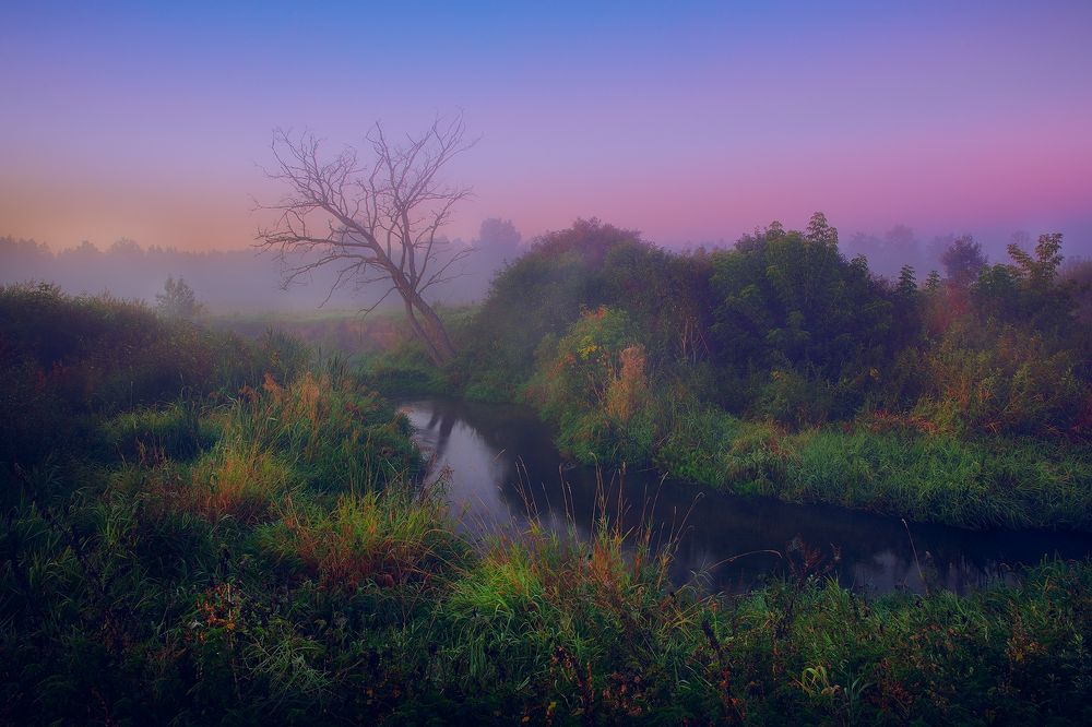 ДЫХАНИЕ ОСЕНИ