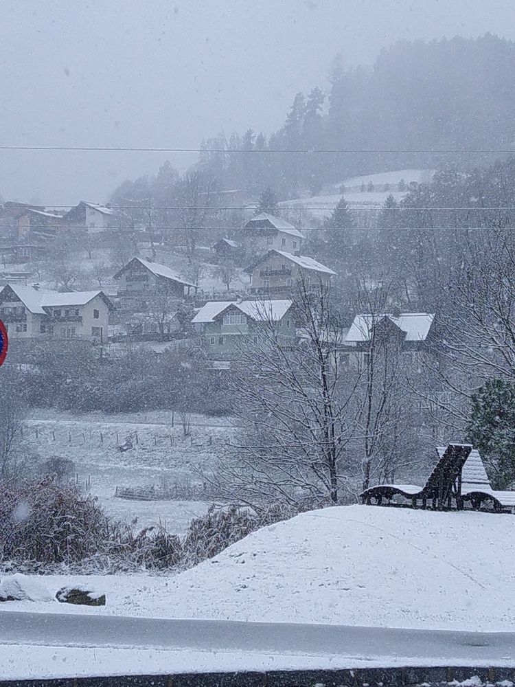 Фотография автора Inna Osminina