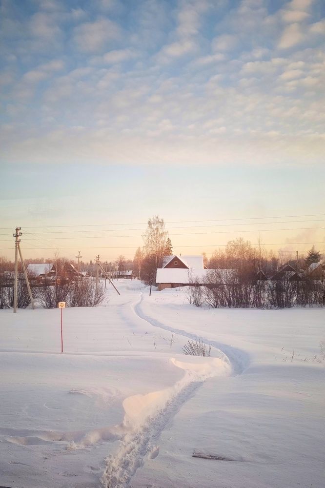 Photograph by Анна Швецова
