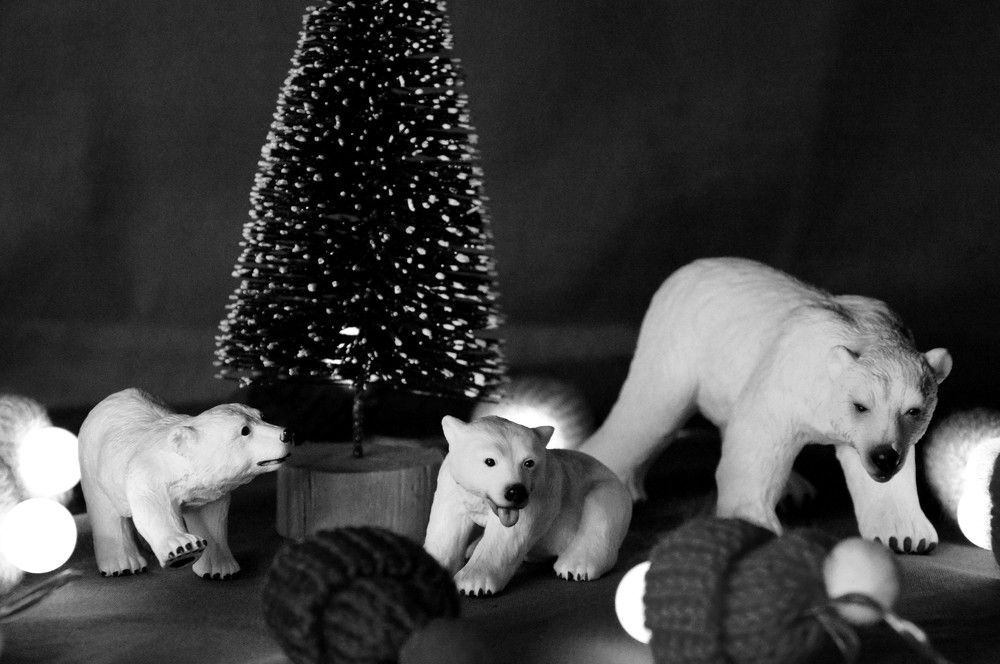 Photograph by Ольга Шевцова