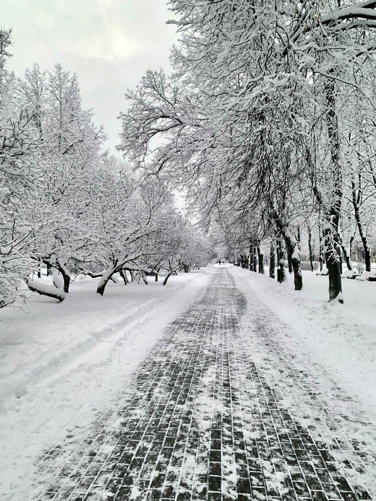 Photograph by Елена Макуха