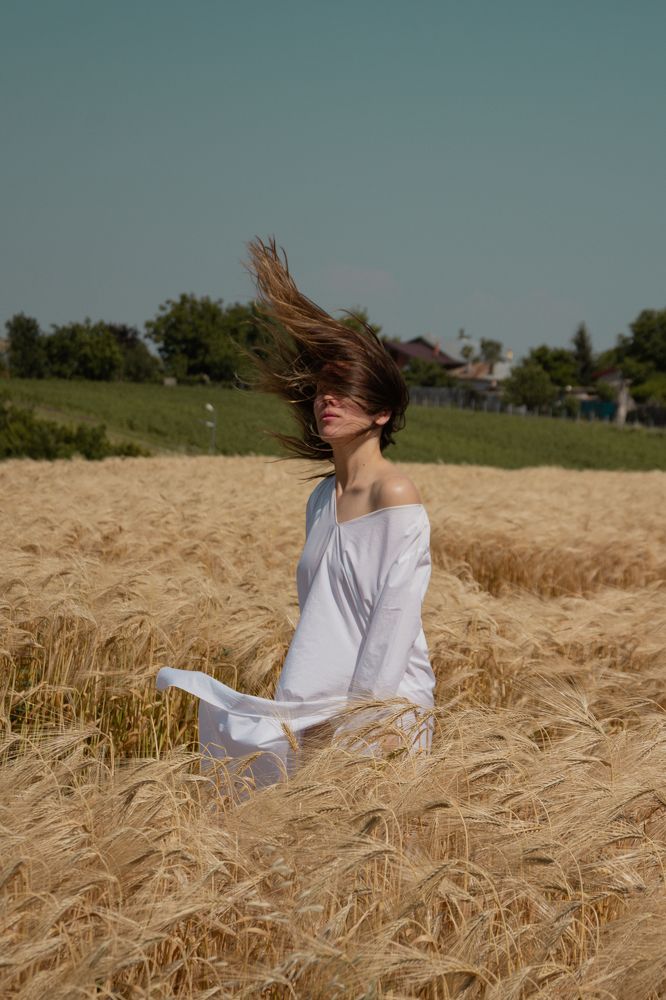 In the field at midday