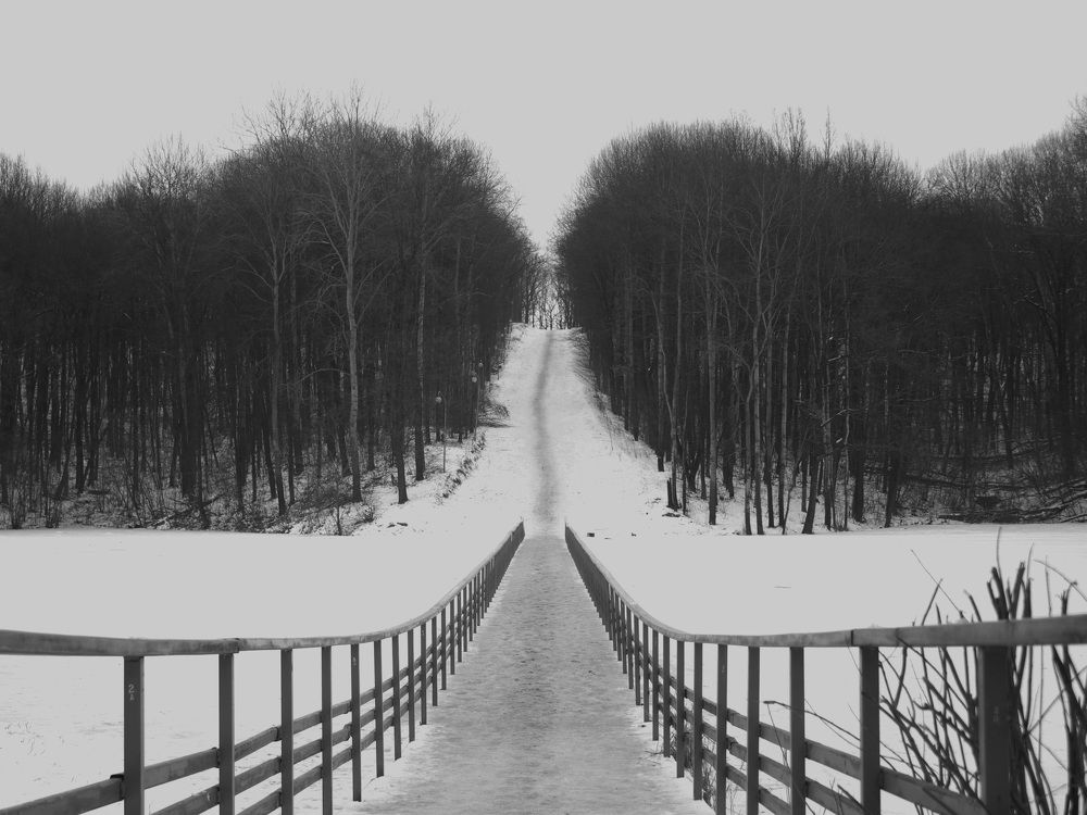 Photograph by Дмитрий Давидов