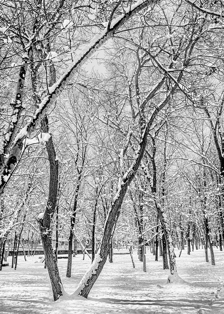 Photograph by Farbod Bavehie