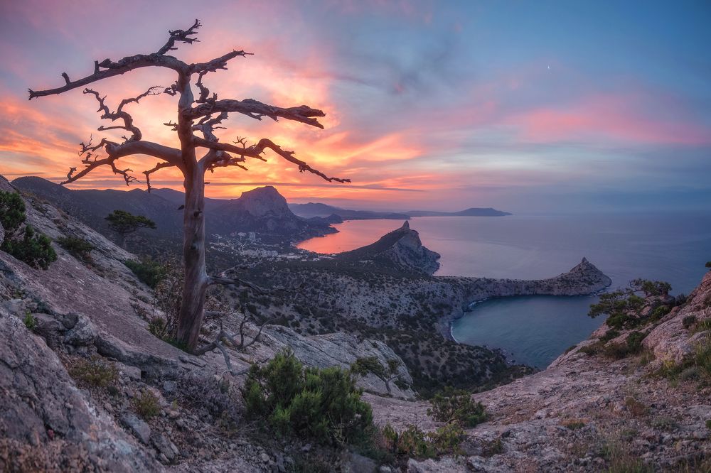 Фотография автора Дмитренко Екатерина