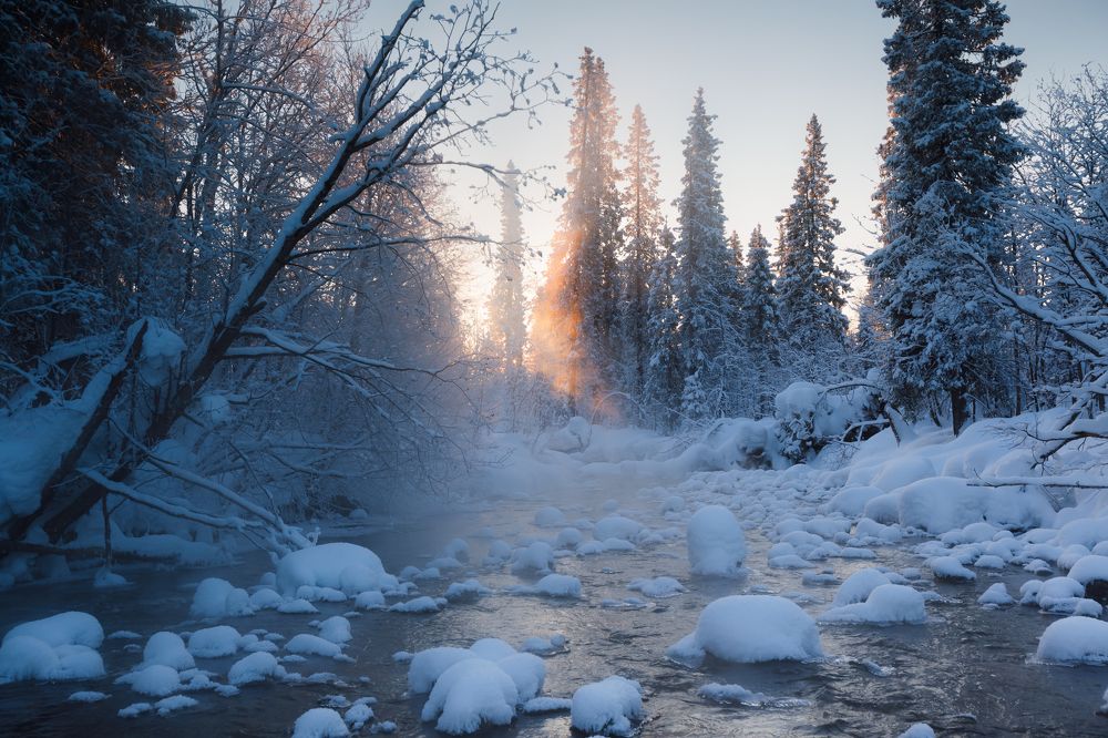 Photograph by Мария Казакова