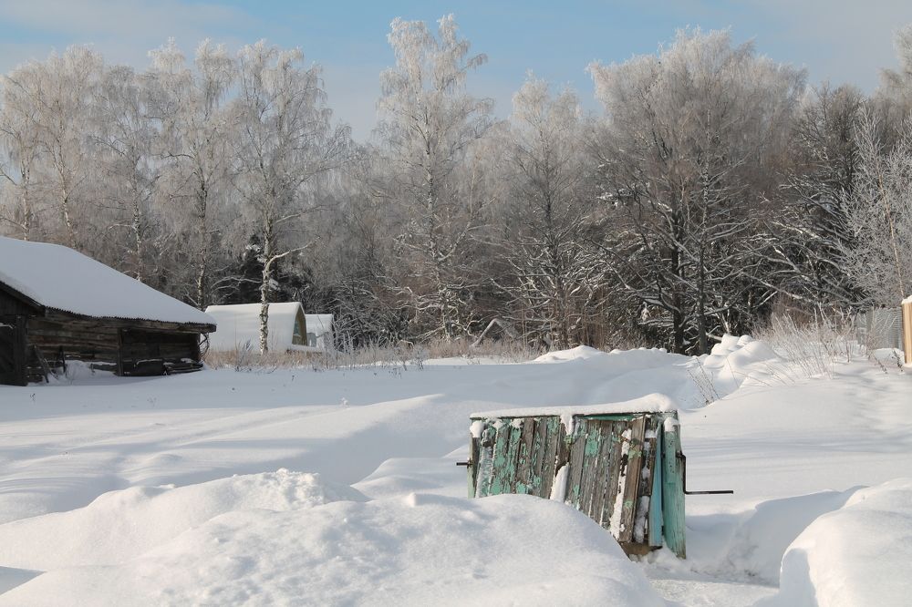 Photograph by Людмила Павловна