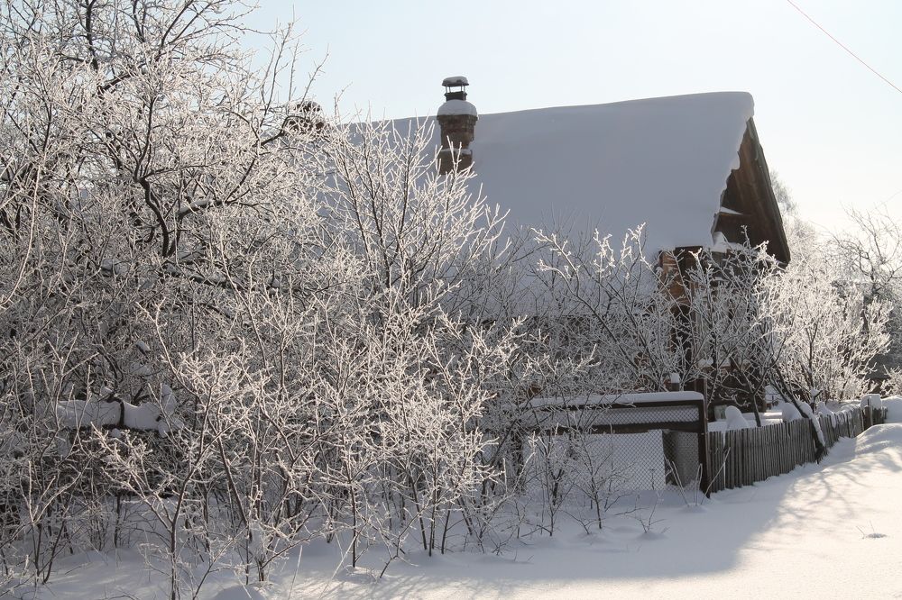 Photograph by Людмила Павловна