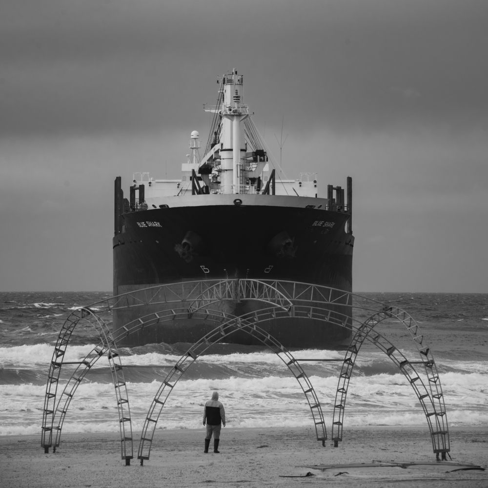 На берегу моря