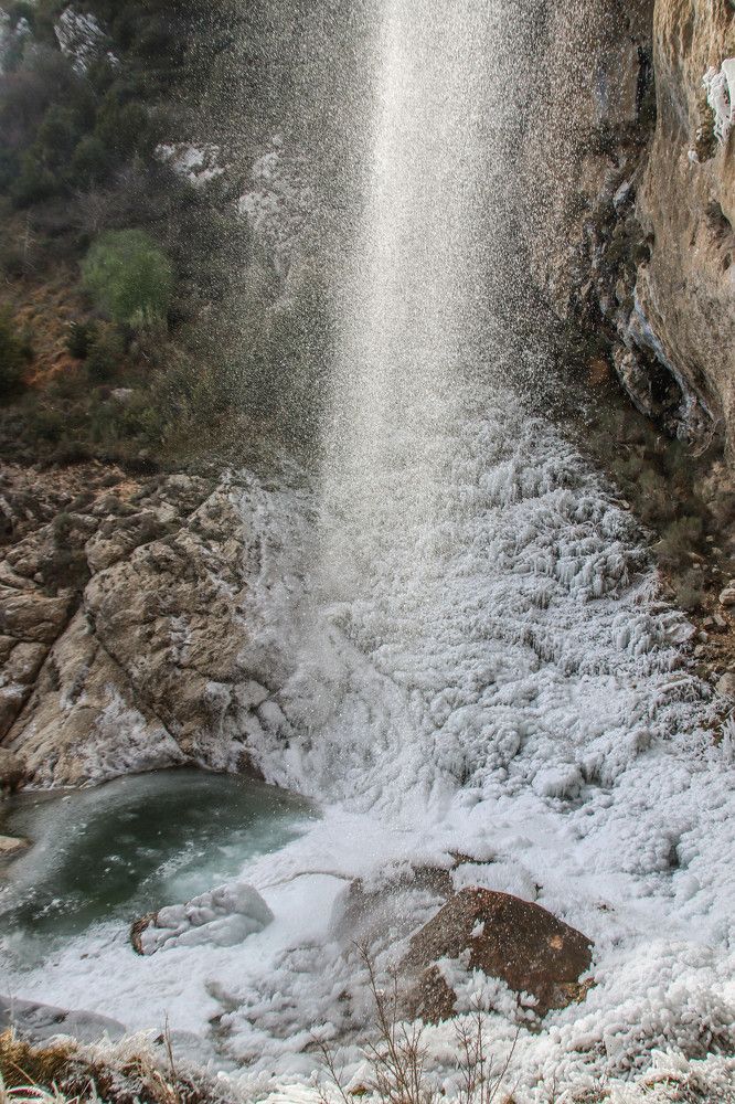 Фотография автора vanessa elbin