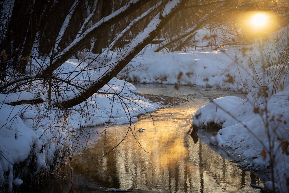 Фотография автора Светлана Зимина