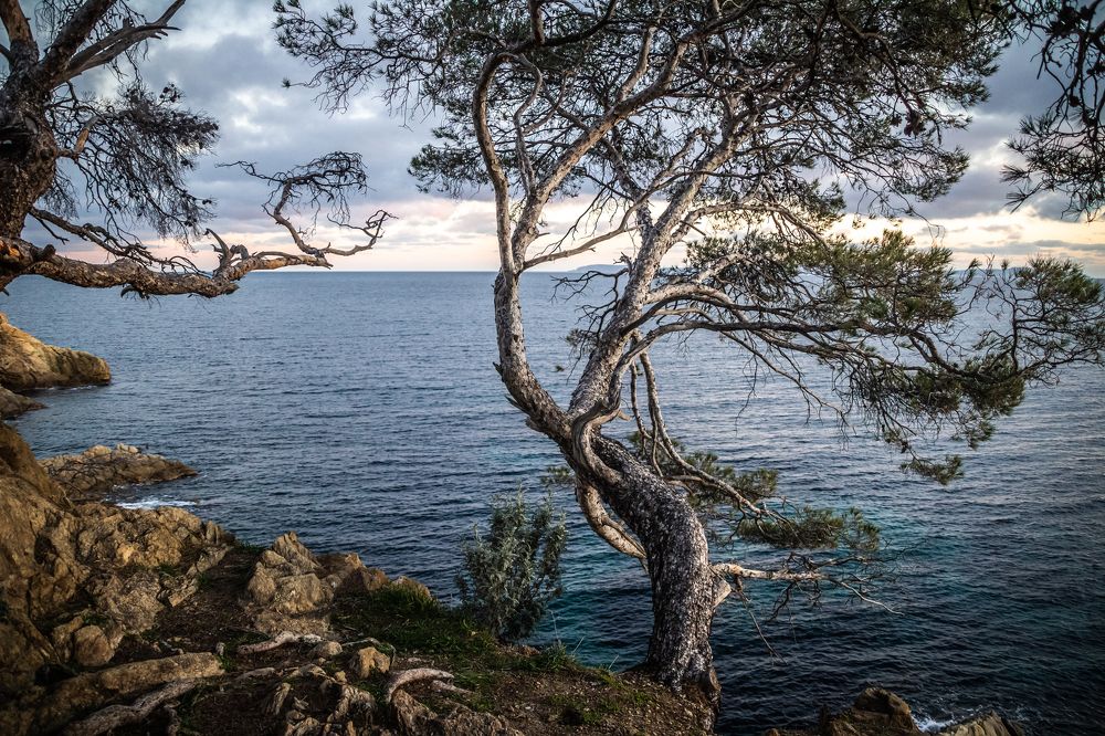 Фотография автора vanessa elbin