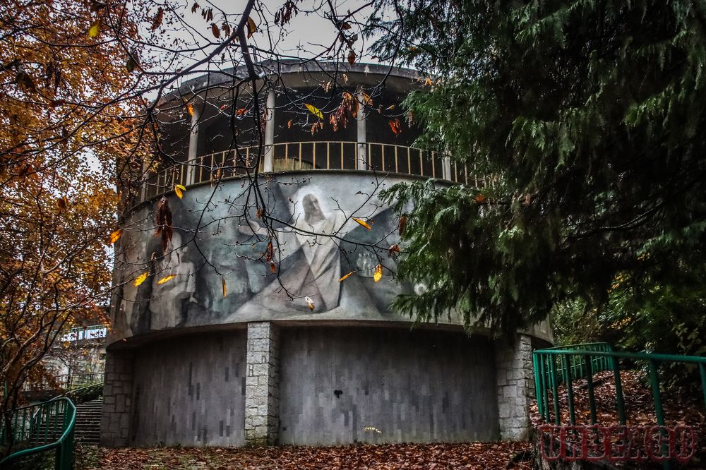 Фотография автора vanessa elbin