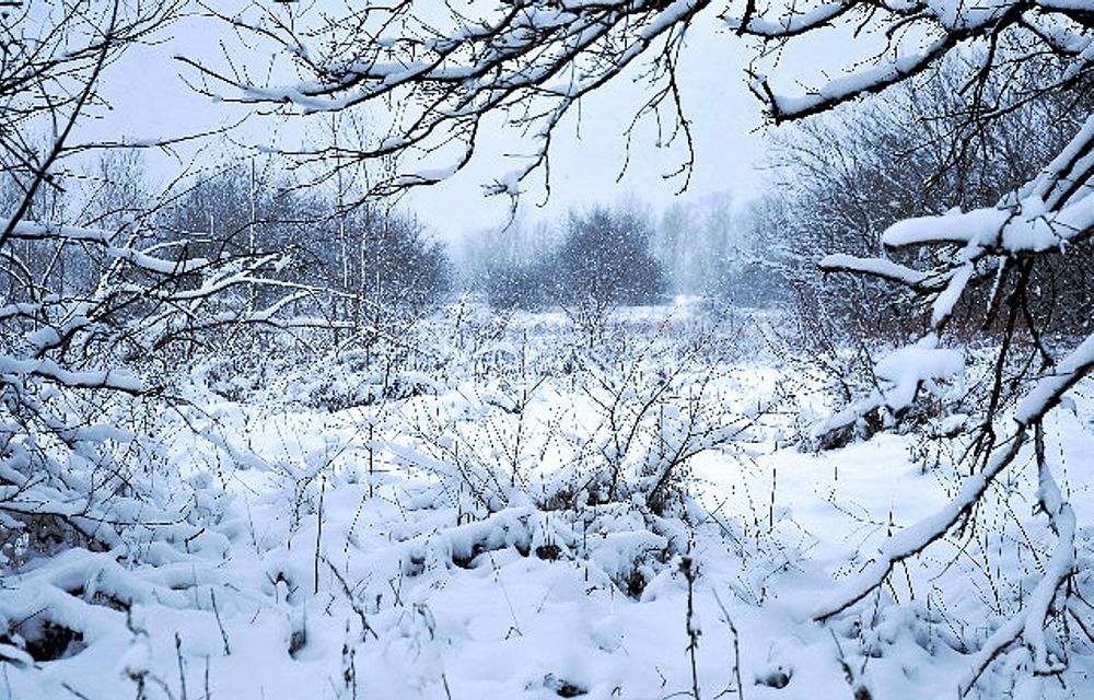 Photograph by Павел Бутенко