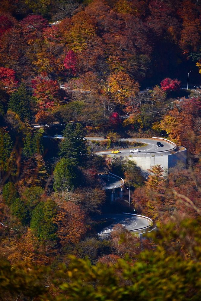 Фотография автора Sen Abhijit