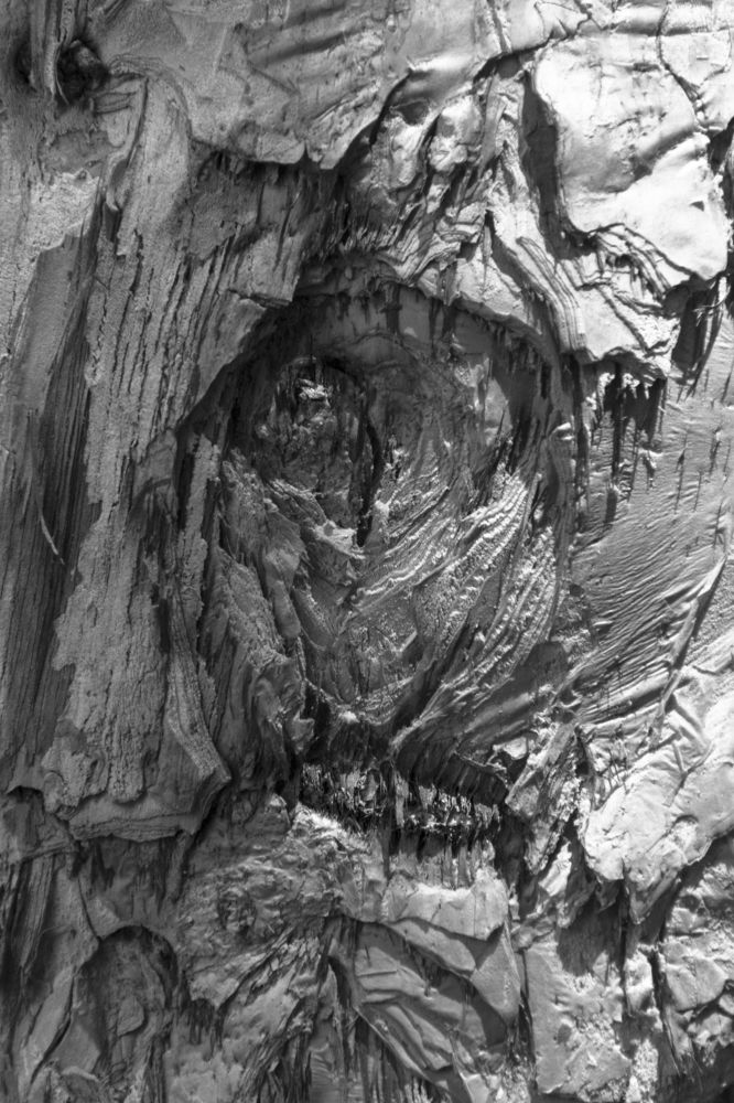 Photograph by roselino de oliveira rocha