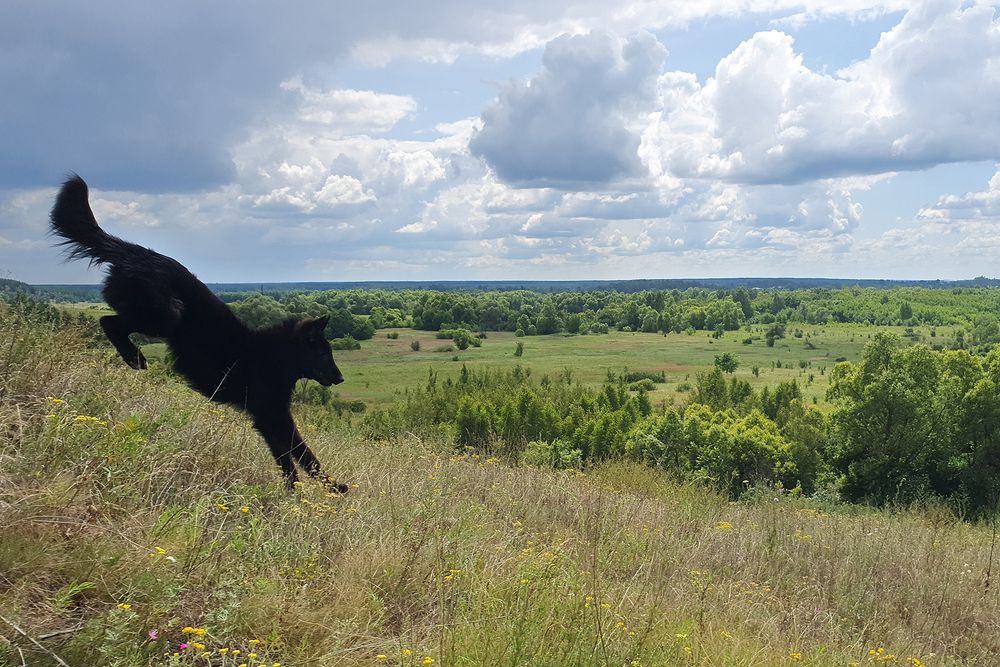 Фотография автора Надежда Лисицына