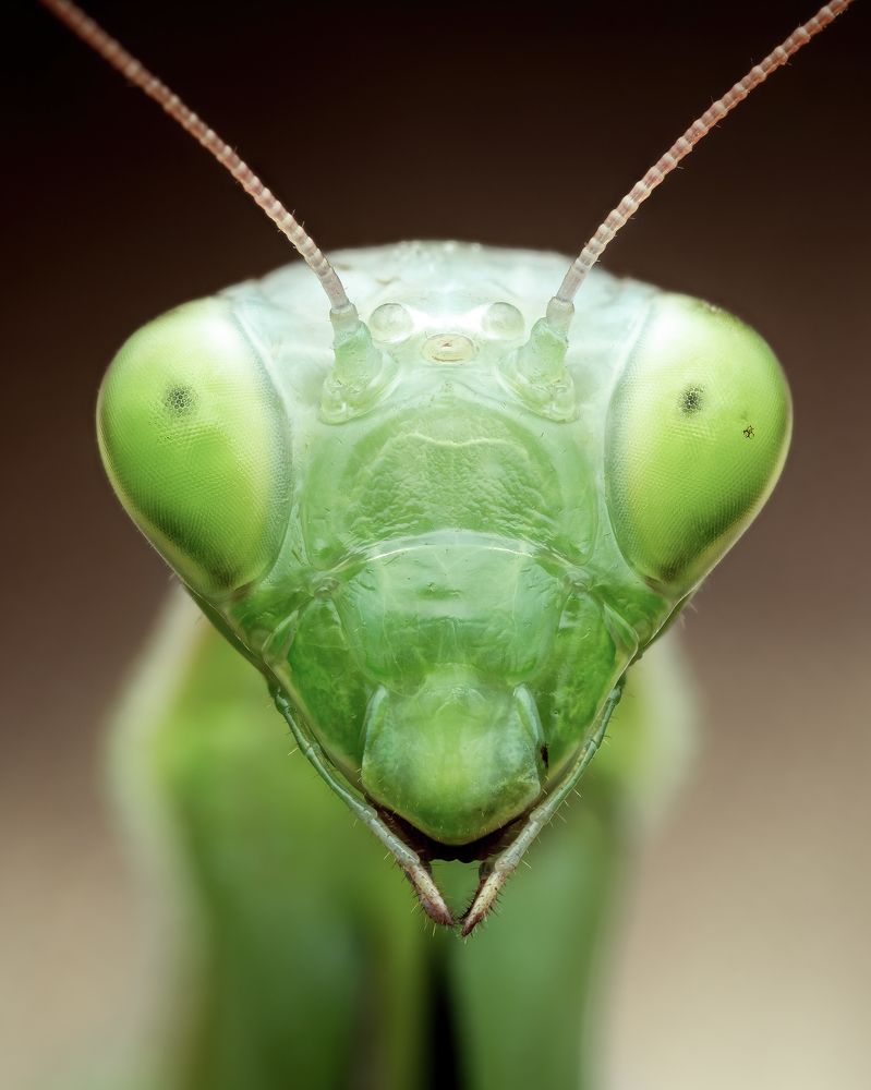 Photograph by Роман Фадеев