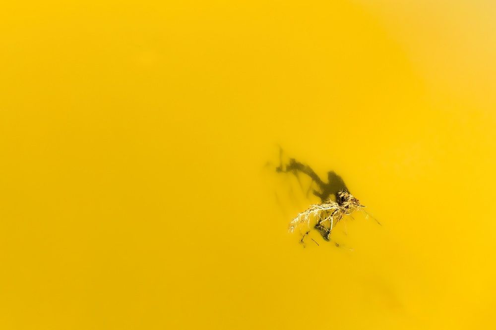 Photograph by Cao Alex