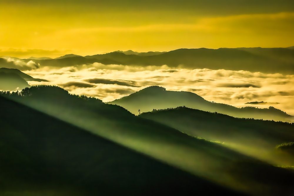 Photograph by Cao Alex