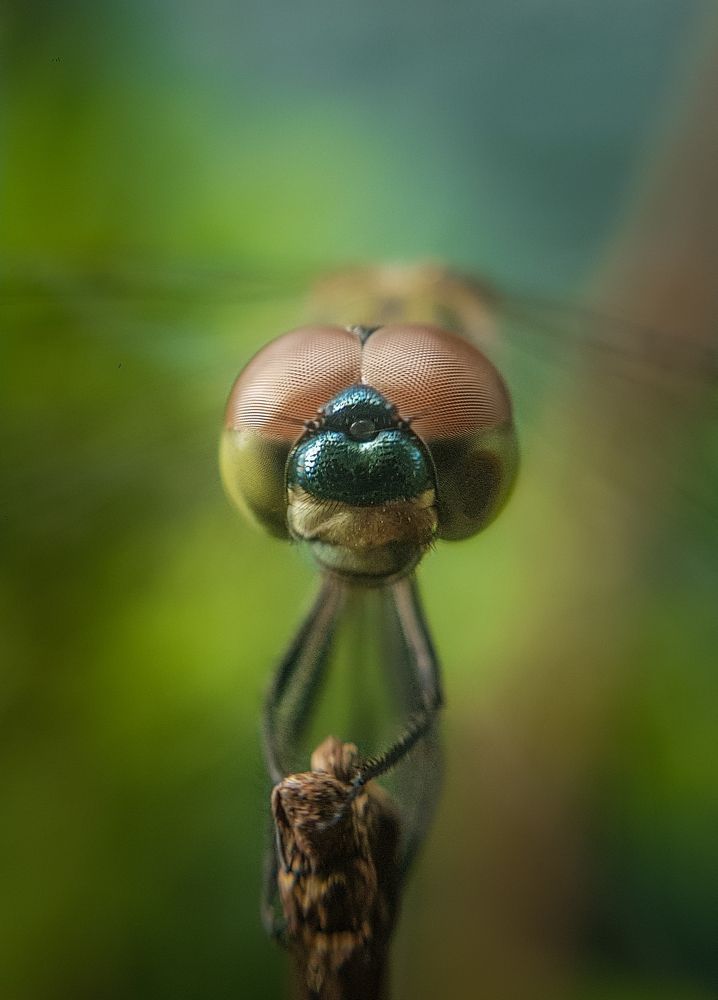 Photograph by Kasun Wickramasinghe